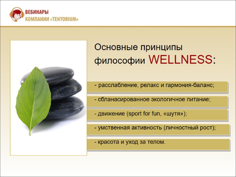 Основные принципы  философии WELLNESS:    расслабление, релакс и гармония-баланс;  